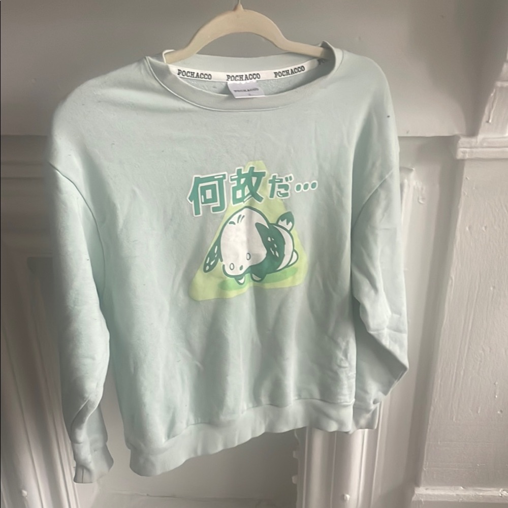 Mint Green Pochachoo Sweatshirt bought in Japan